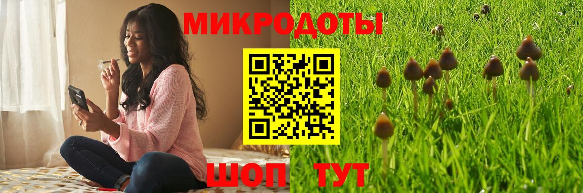 Дзержинский  Галлюциногенные грибы мухоморы  Вход с VPN 